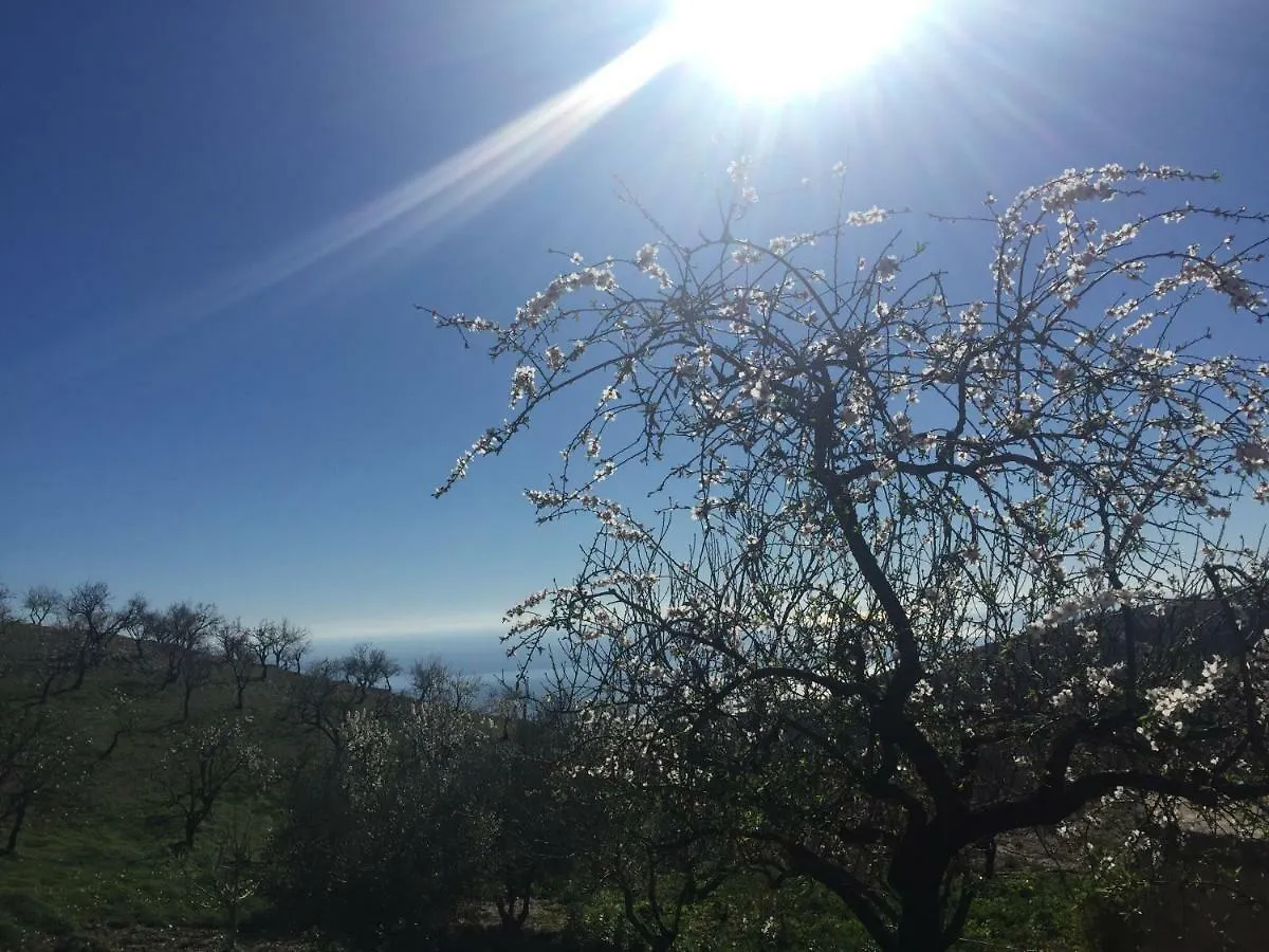 Apartment Villa Atalanta Rubite  Spain